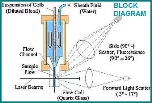 Hematology analyzer