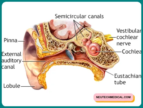 audiometry used for