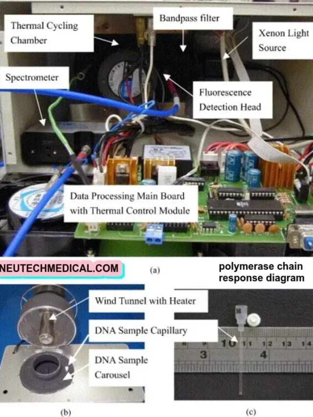 cropped-PCR12-1.webp