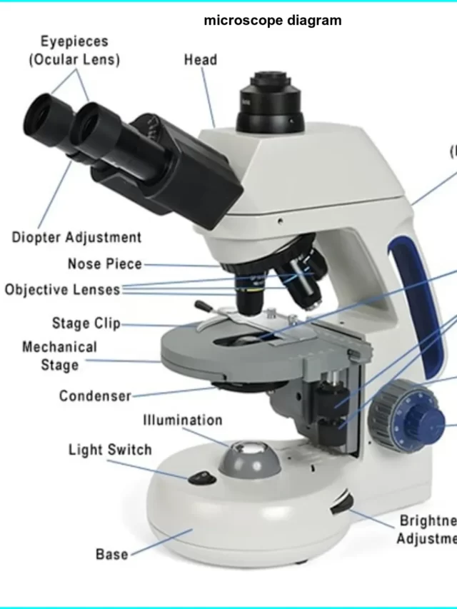 What is Microscope