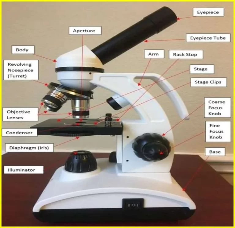 compound microscope parts