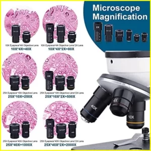 Magnification Definition Microscope
