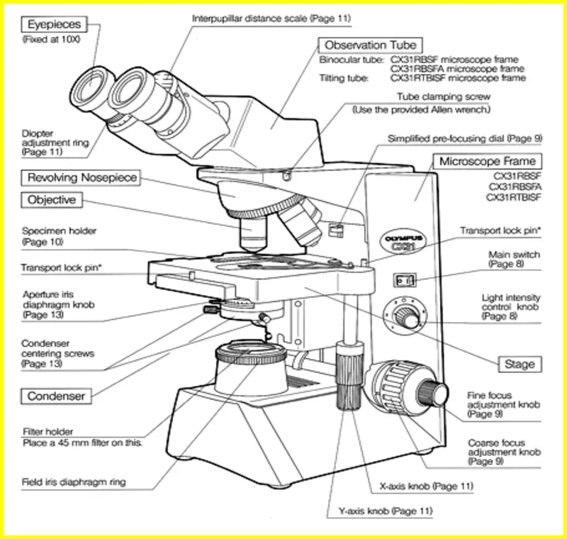 Parts of a Microscope Labeled, Functions, Best Specifications 23
