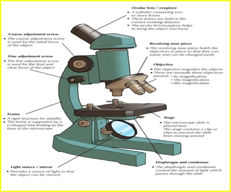 parts of a microscope