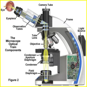 resolution definition microscope