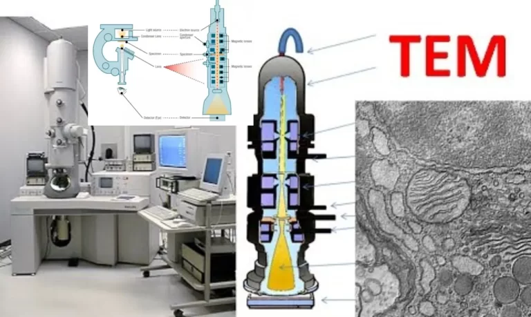 transmission electron microscopes