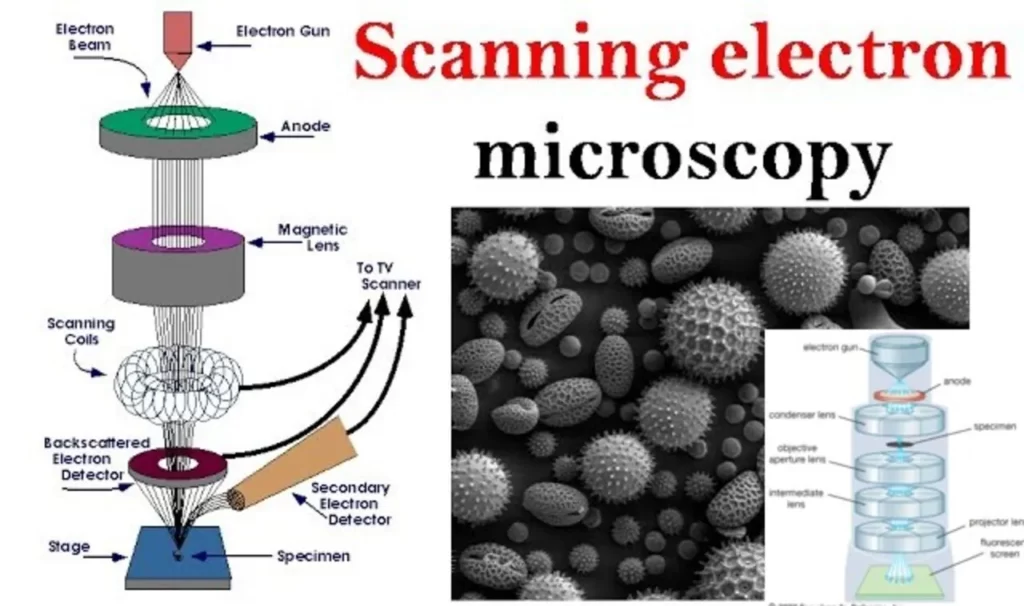 transmission electron microscopes