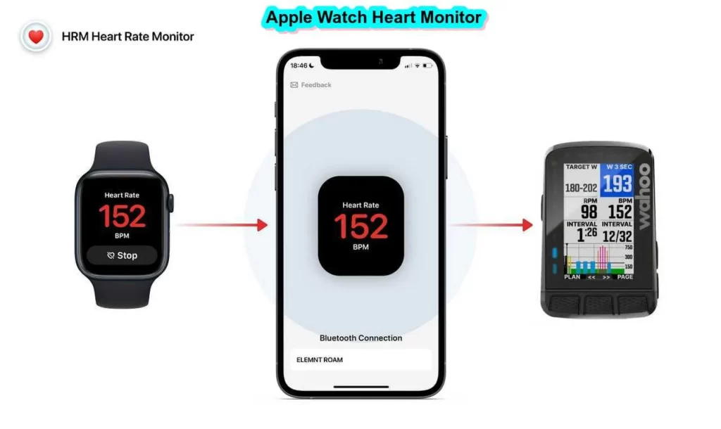 Apple Watch Heart Monitor